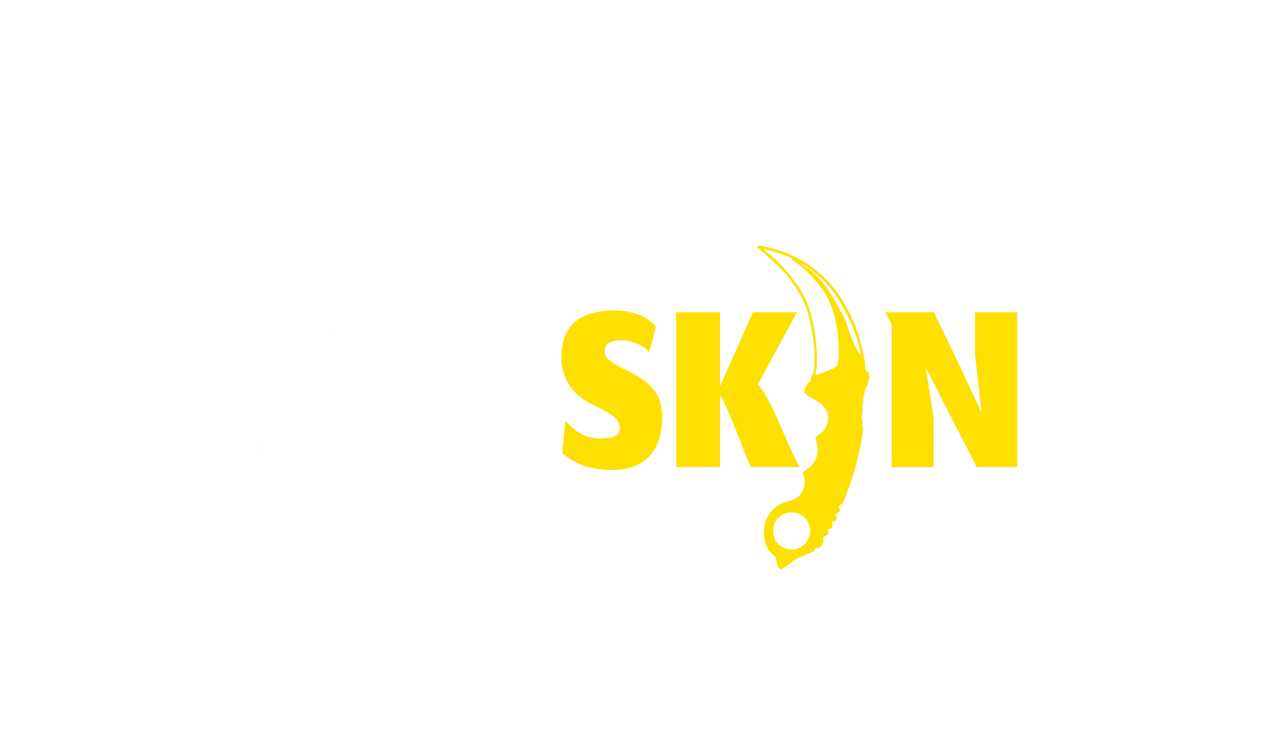csgo skin websites